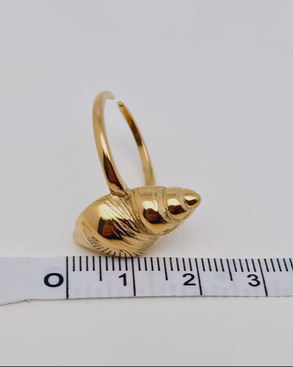 Conch Ring - one size