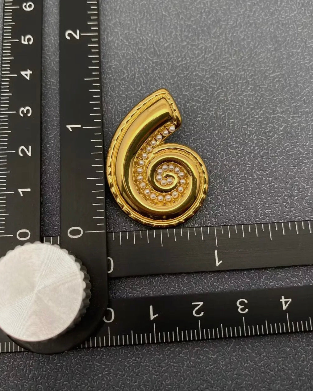 Conch Stud Earrings