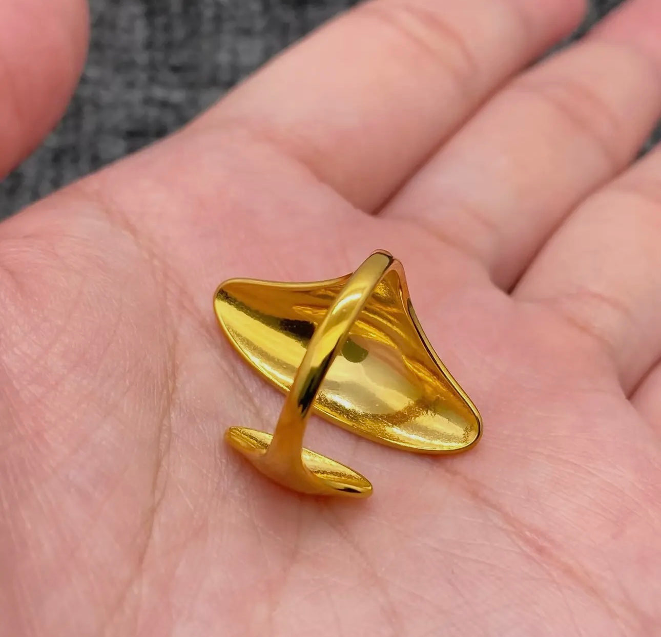 Geometric Open Ring