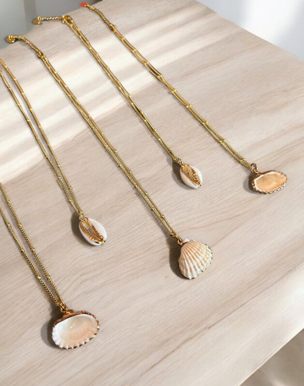 Shell with gold necklace