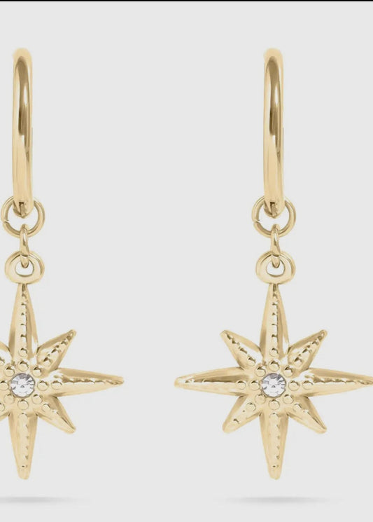 18K Gold Pvd Huggie with Compass
Charm Earrings